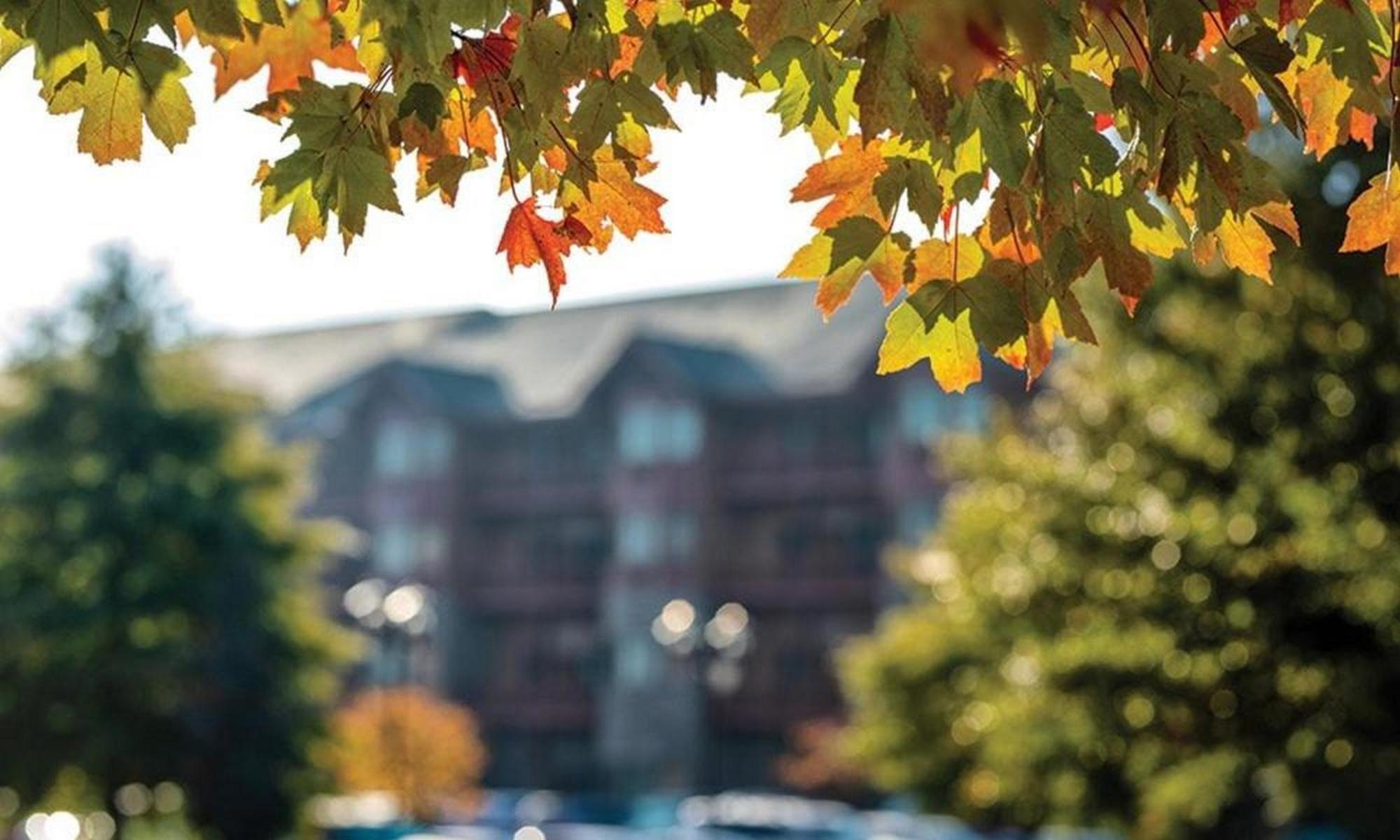 Great Smokies Lodge Sevierville By Hellovacay ภายนอก รูปภาพ